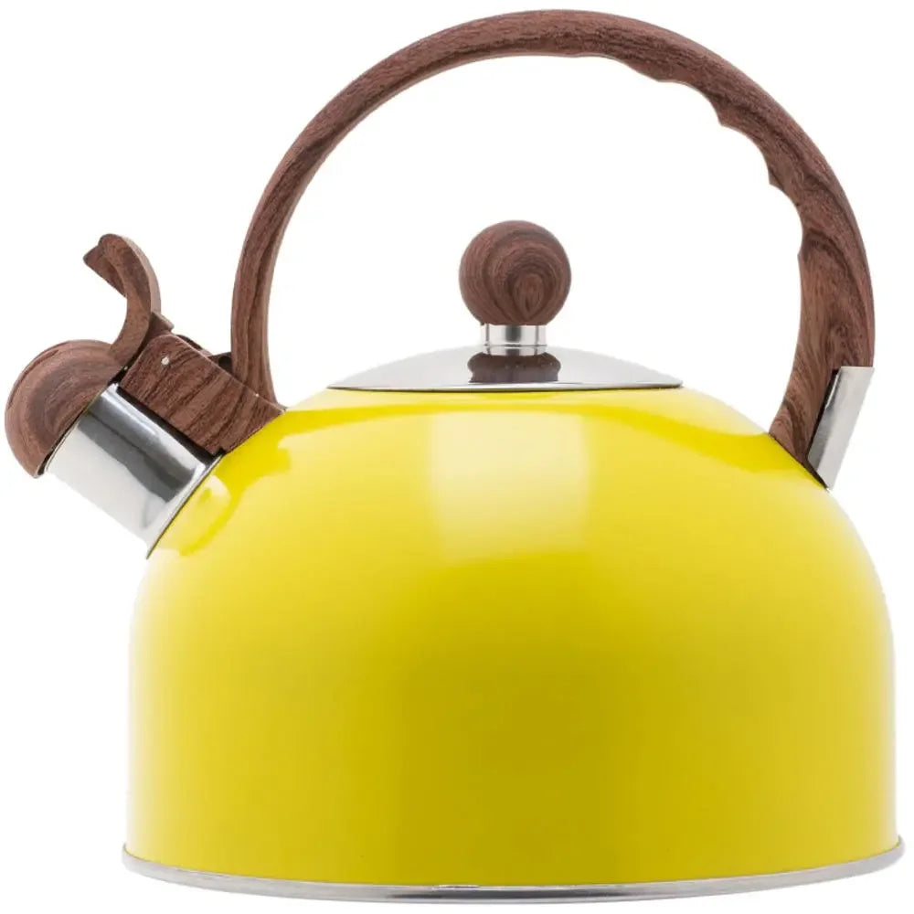 2.5L Electric Tourist Gas Stove Kettle With Whistle Stainless Steel Kitchen Home-appliance Camping Teapot Cookware Cooking Set