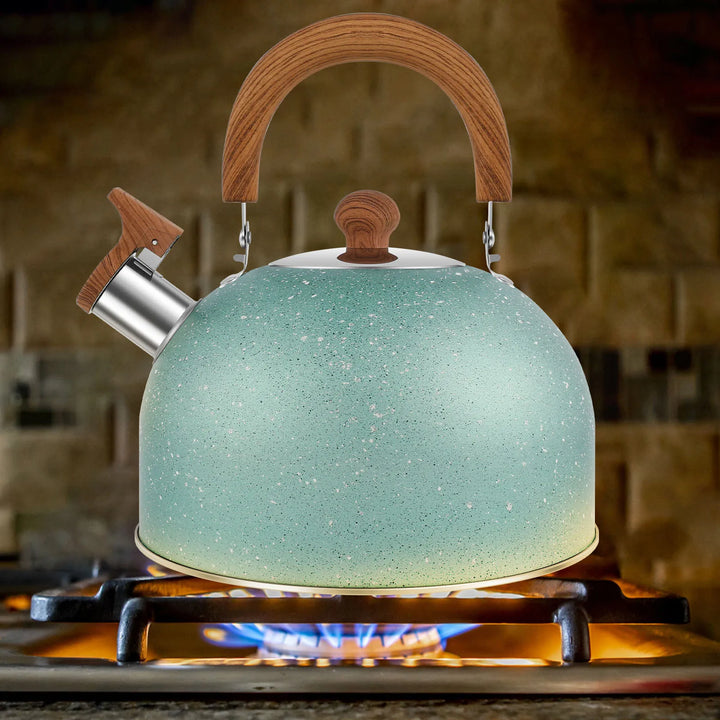 2.6QT Tea Kettle Stainless Steel Whistling Tea Kettle Flat-bottomed Boiling Water Kettles Stovetop Water Boiler for Home Kitchen